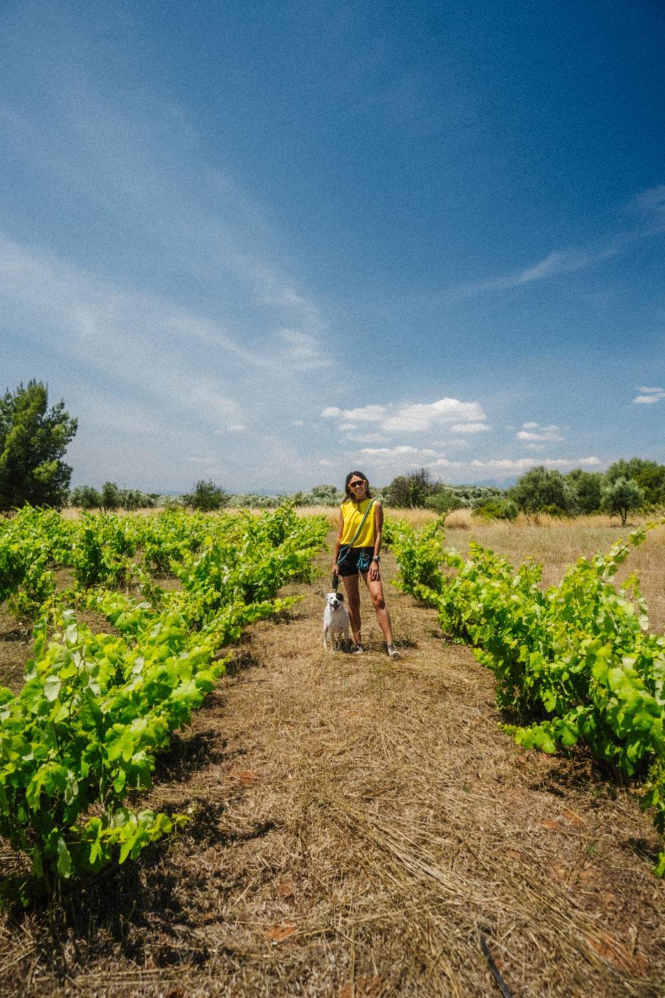 Eumelia Organic Agrotourism Farm Hotel Gouvai Bagian luar foto