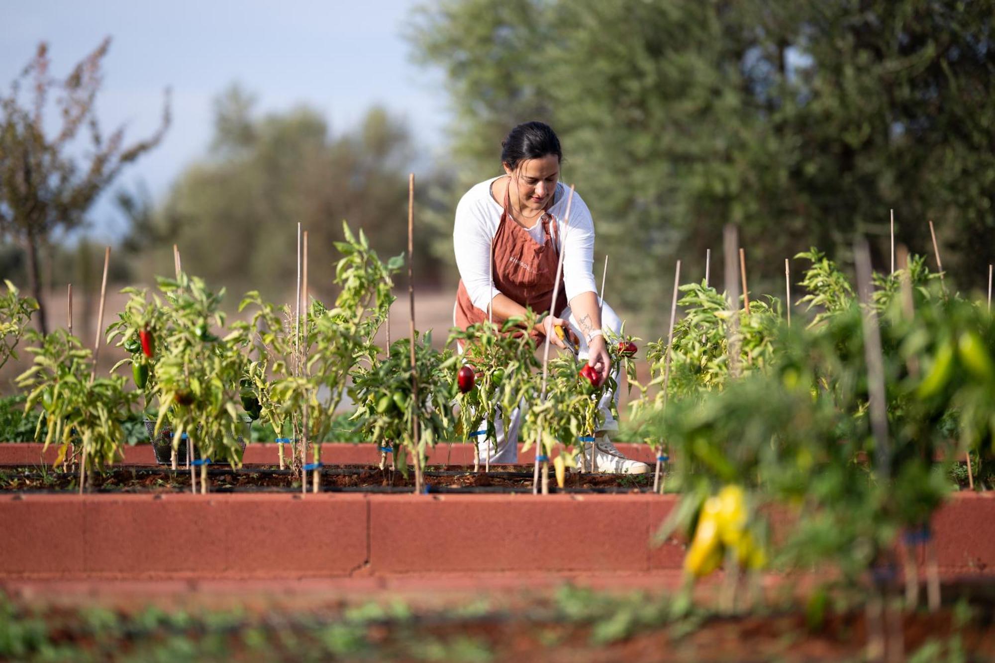 Eumelia Organic Agrotourism Farm Hotel Gouvai Bagian luar foto